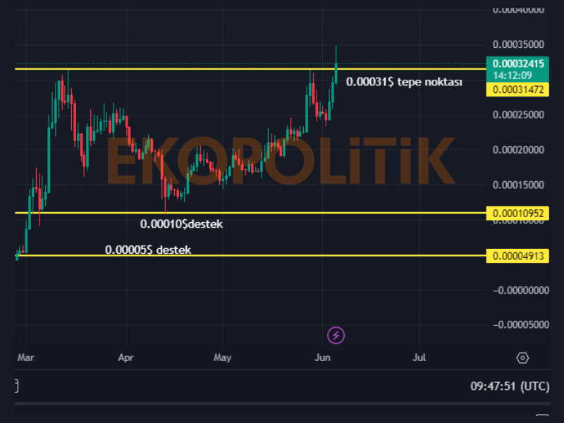 floki coin geleceği 5 haziran 2024