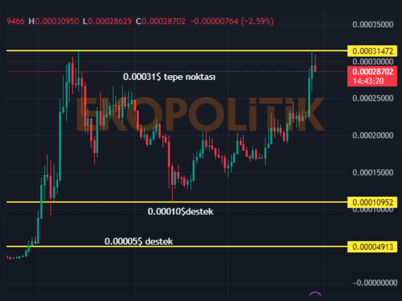 floki coin geleceği için teknik analiz