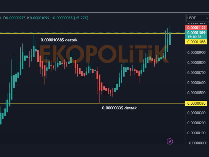 pepe coin geleceği