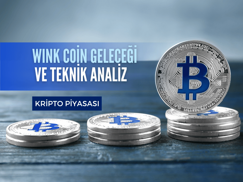 wink-coin-gelecegi